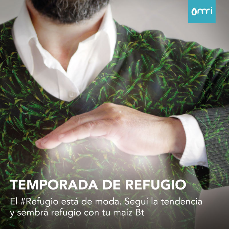 MRI refugio2